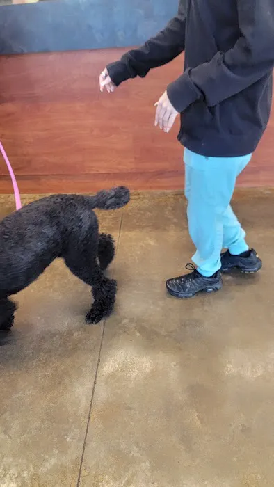 Berclair Animal Hospital PC 12