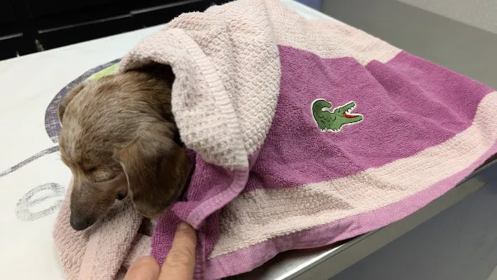 Eastgate Animal Clinic 12