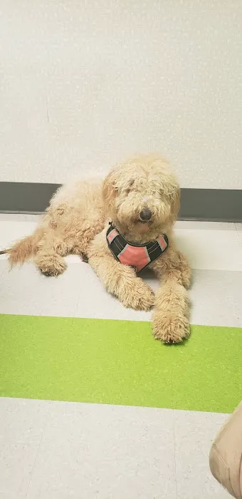 Eastgate Animal Clinic 12
