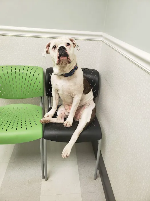 Eastgate Animal Clinic 12