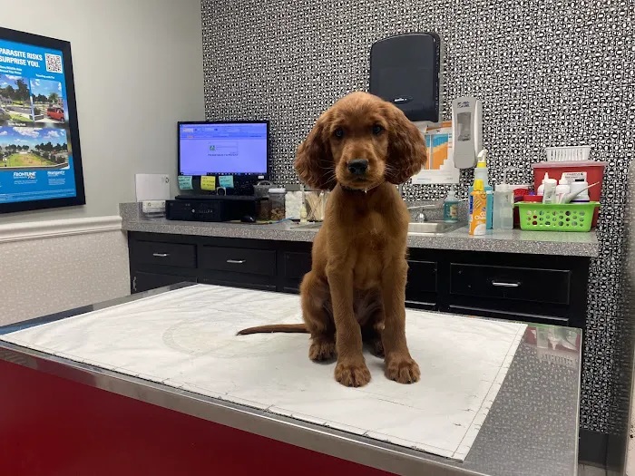 Eastgate Animal Clinic 12