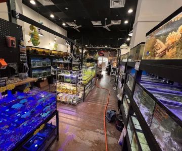 Easy Aquariums - Portsmouth