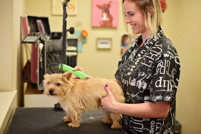 East Memphis Pet Hospital & Resort 12