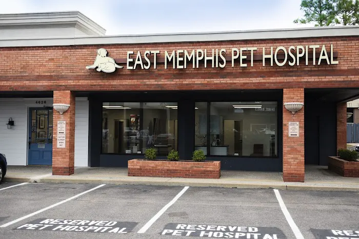 East Memphis Pet Hospital & Resort 12
