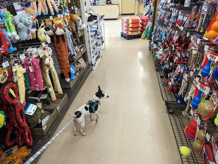 Petco 7