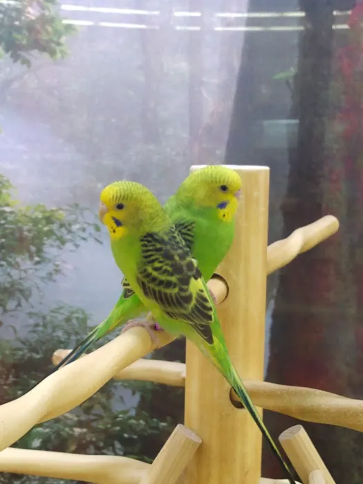 Petco 2