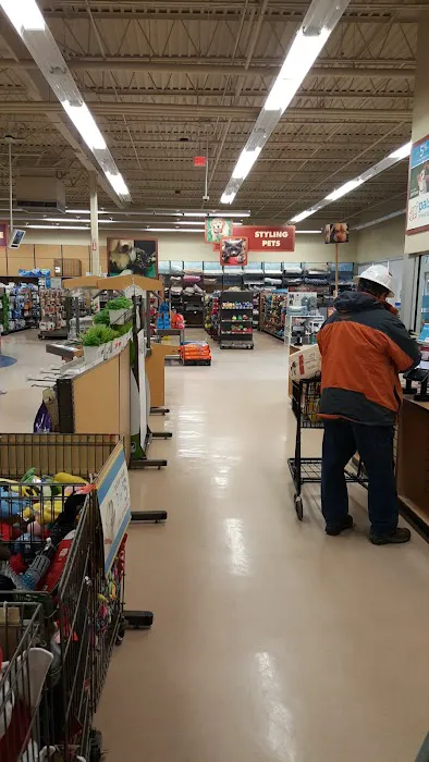 Petco 8