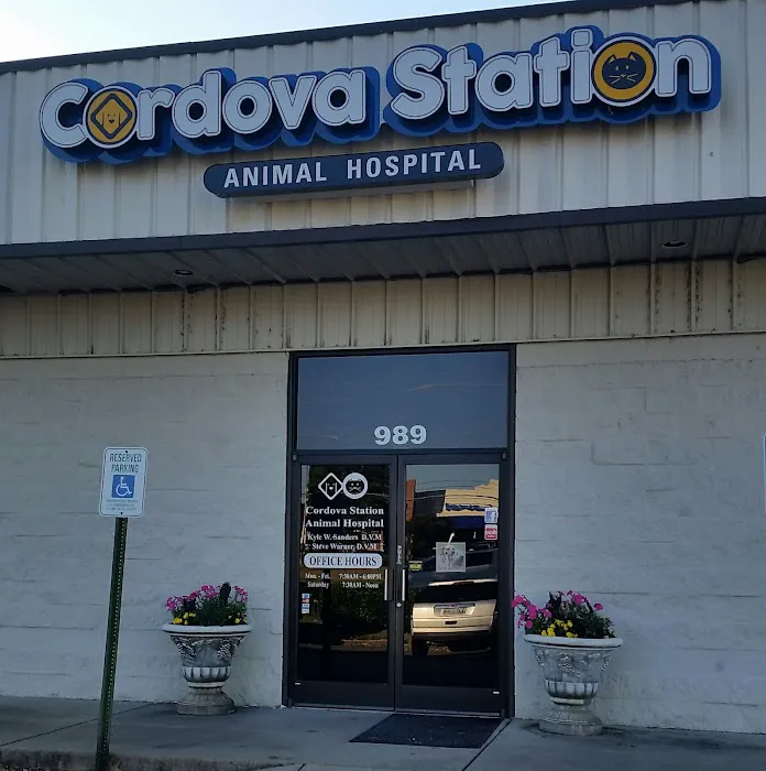 Cordova Station Animal Hospital 12