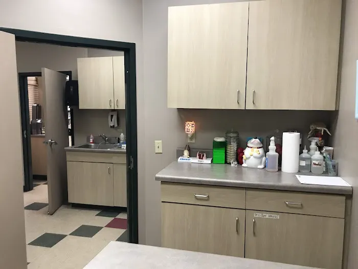 Cordova Station Animal Hospital 12