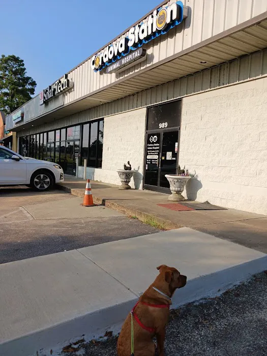 Cordova Station Animal Hospital 12