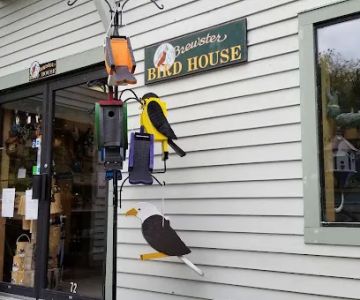 Brewster Bird House at Woodworks Gallery