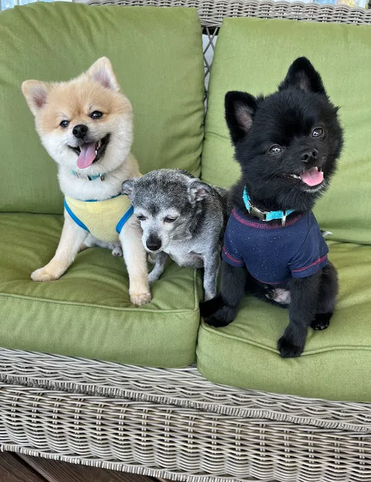 Kowaliga Whole Health Pet Care 12