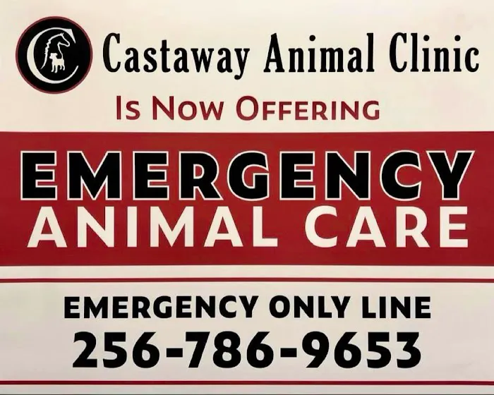 Castaway Animal Clinic 12
