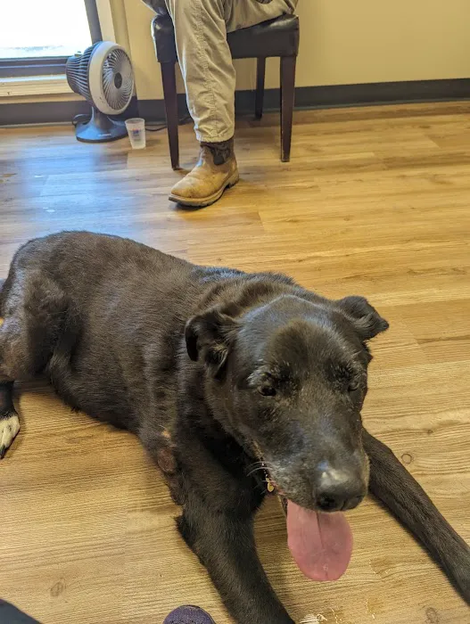 Mitchell Veterinary Hospital 5