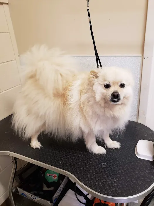 Mitchell Veterinary Hospital 2