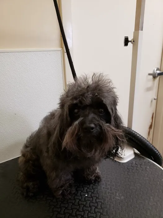 Mitchell Veterinary Hospital 3