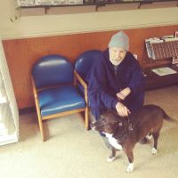 Britt Veterinary Services LLC ico