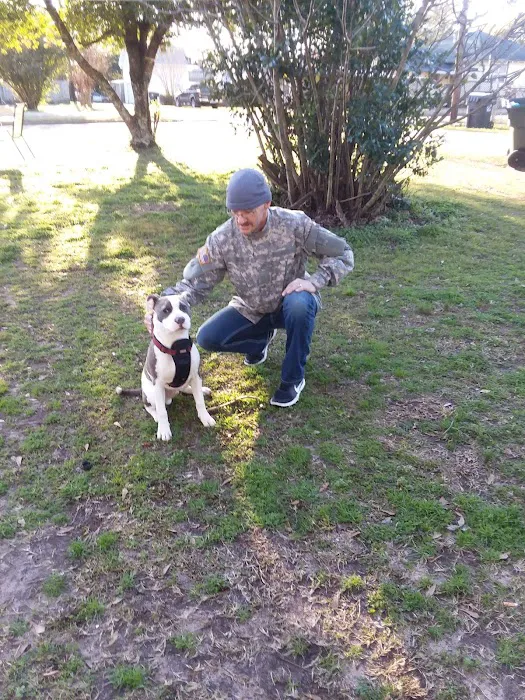Britt Veterinary Services LLC 12