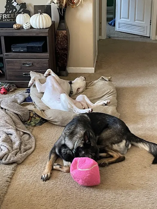 Britt Veterinary Services LLC 12