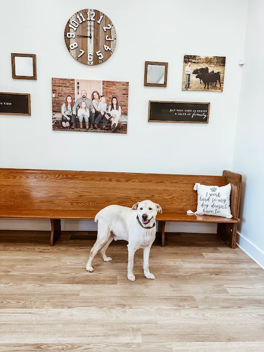 4D Veterinary Services, P.C. 12