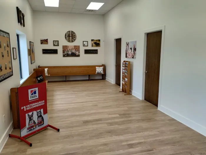 4D Veterinary Services, P.C. 12
