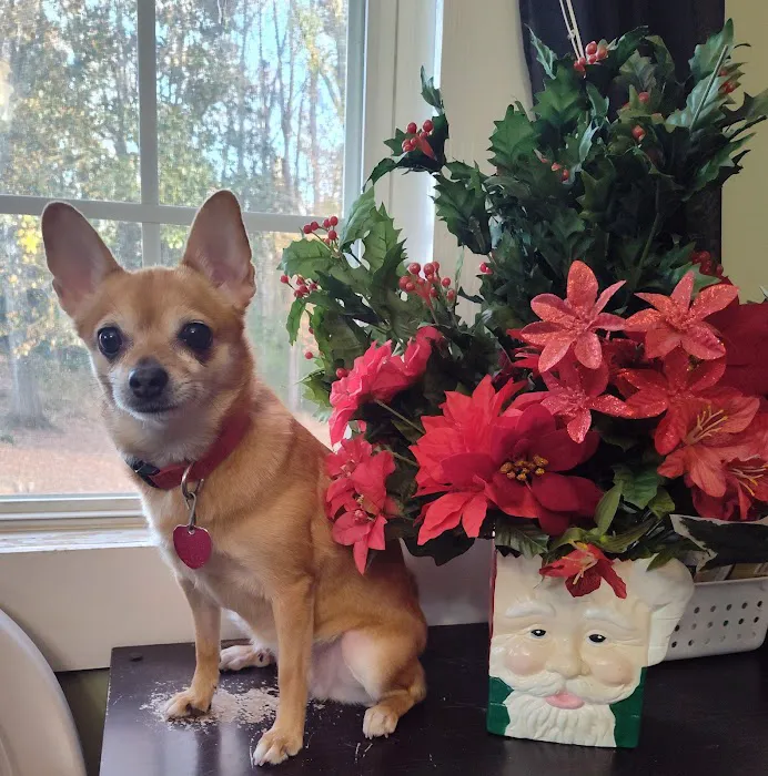 Alexander City Veterinary Clinic 12