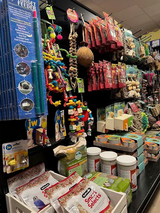 The Clever Critter Pet Shop and Bakery 8