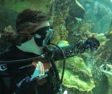 New England Aquarium Services