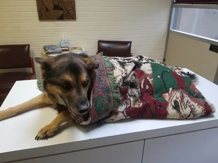 South Pointe Animal Hospital 12