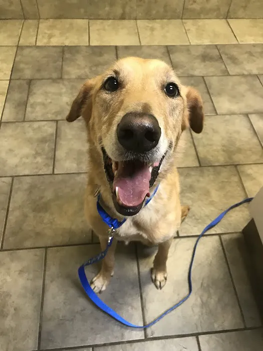 South Pointe Animal Hospital 12