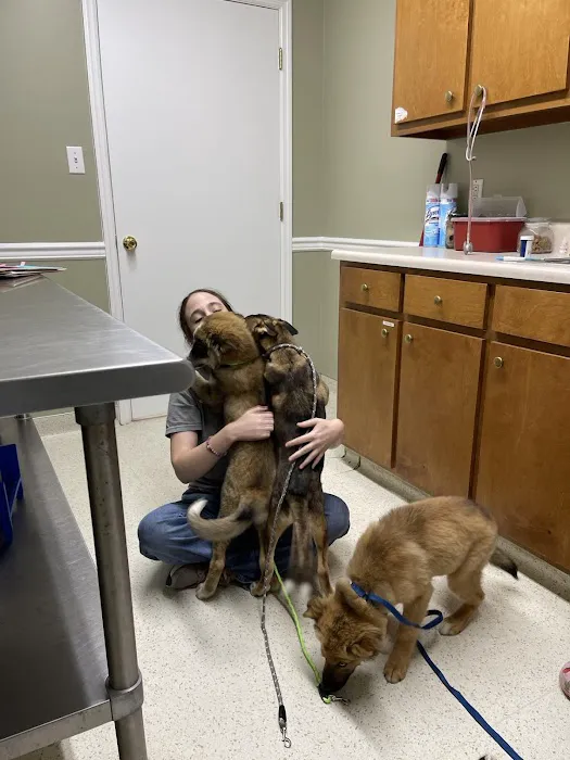 Rodgers Veterinary Services 12