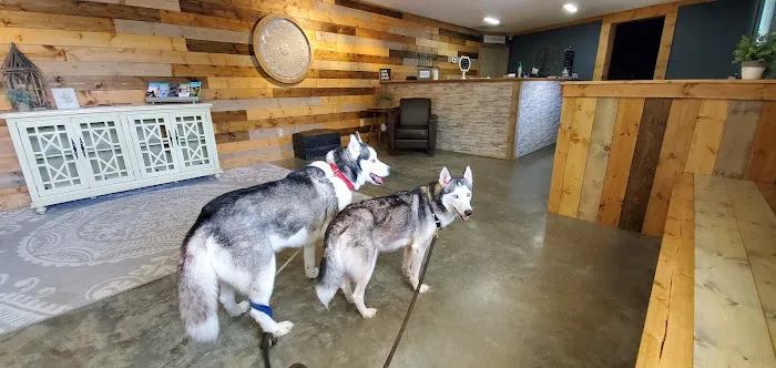 Thomson Mc Duffie Animal Hospital 12