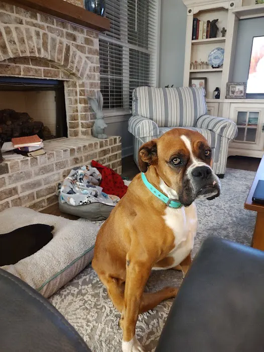 Reese Veterinary Hospital 12