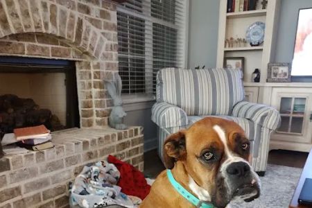 Reese Veterinary Hospital