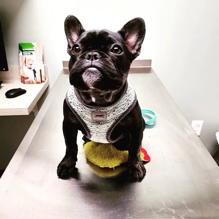 Hitchcock Animal Hospital 12