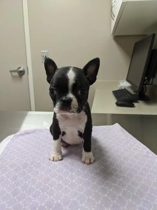 Hitchcock Animal Hospital 12