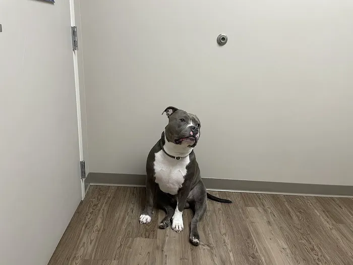 Hitchcock Animal Hospital 12