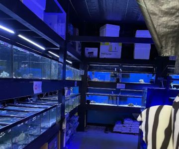 Easy Aquariums - Westbrook