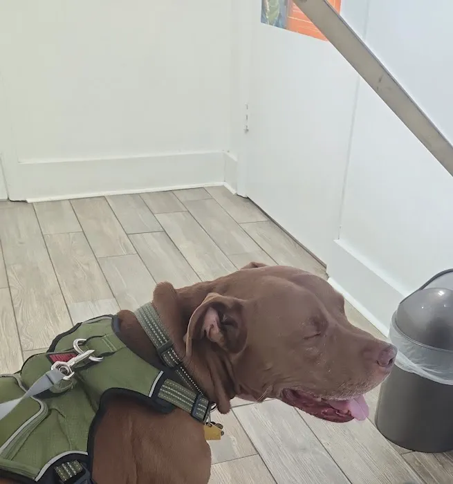 Silver Bluff Animal Hospital 12