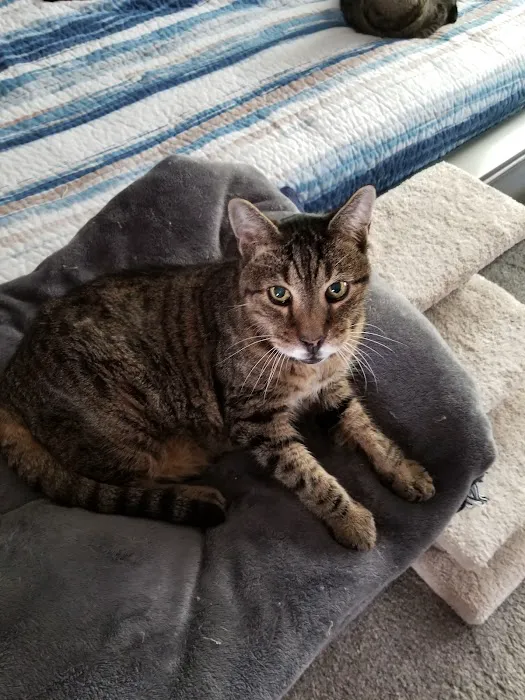 Silver Bluff Animal Hospital 12