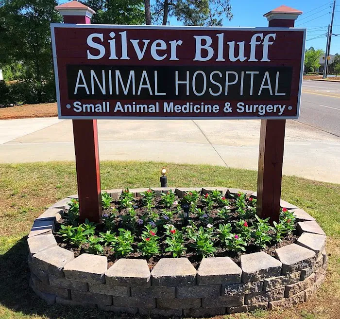 Silver Bluff Animal Hospital 12