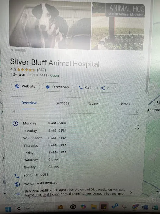 Silver Bluff Animal Hospital: Santos Lara C DVM 12
