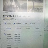Silver Bluff Animal Hospital: Santos Lara C DVM ico