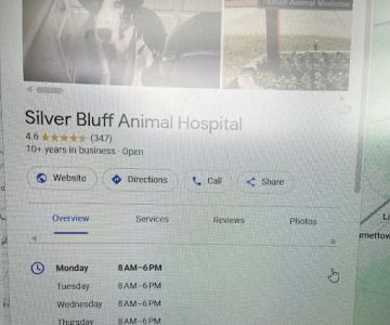 Silver Bluff Animal Hospital: Santos Lara C DVM