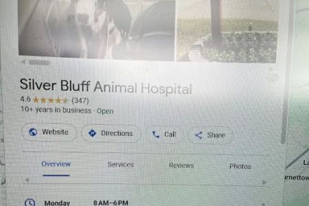 Silver Bluff Animal Hospital: Santos Lara C DVM