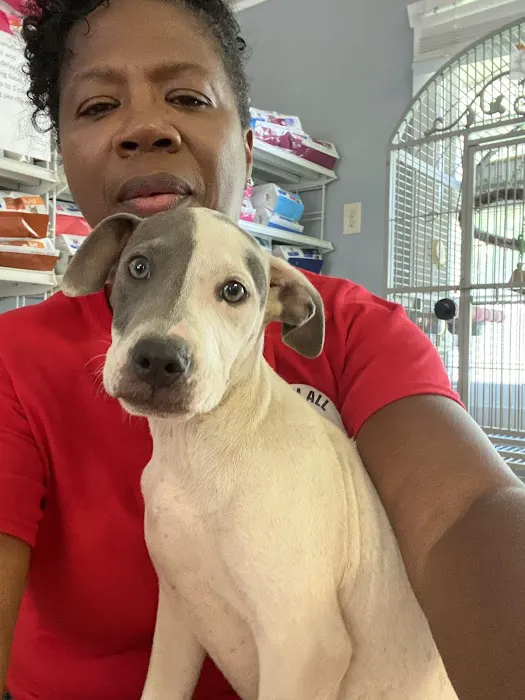 Ark Animal Hospital 1