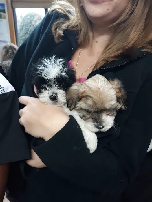 Aiken Veterinary Clinic 12