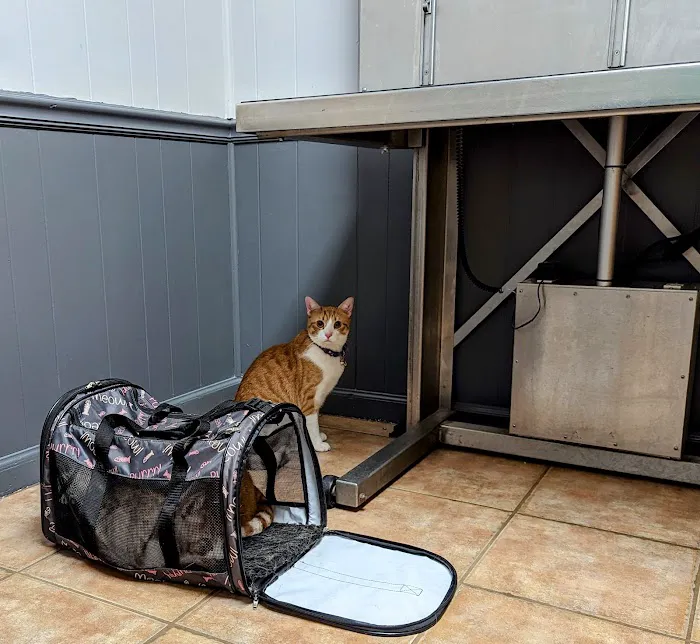 Aiken Veterinary Clinic 12
