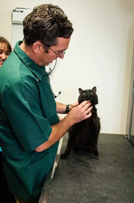 Groover, Charles B, Dvm - Aiken Veterinary Clinic 12