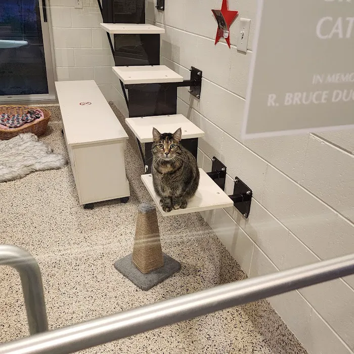 SPCA Albrecht Center Veterinary Care Center 12